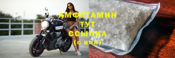 шишки Вязники
