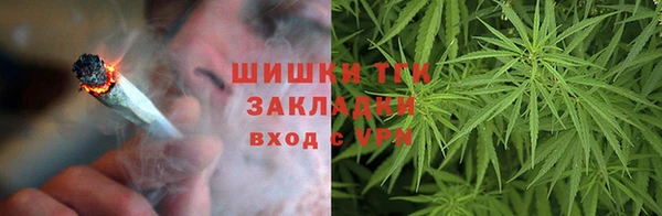 шишки Вязники