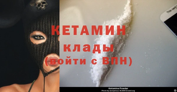 шишки Вязники
