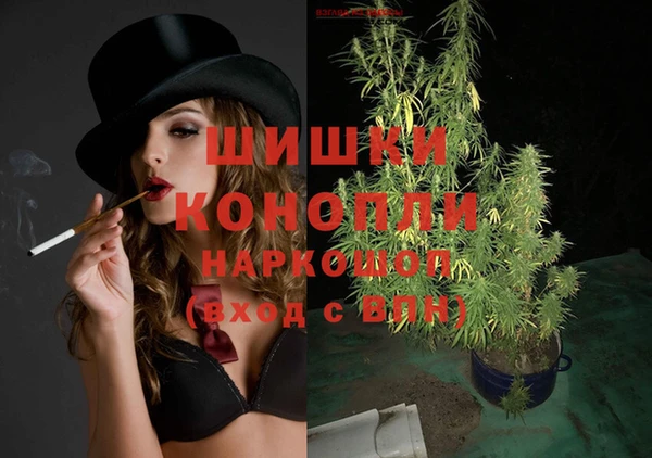 шишки Вязники
