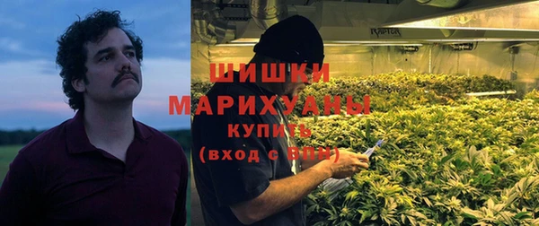шишки Вязники
