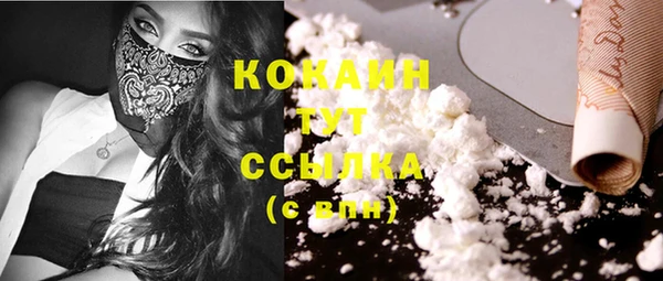соль ск Вязьма