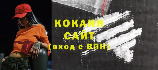 шишки Вязники
